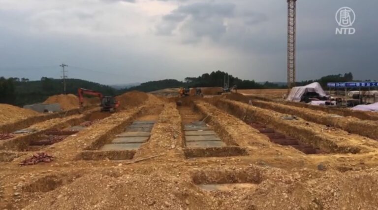 樂山政府招商建養豬場 毀壞耕地近百畝