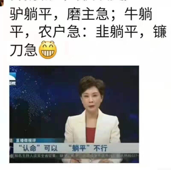 清华教授批“躺平” 网友：站着说话不腰疼