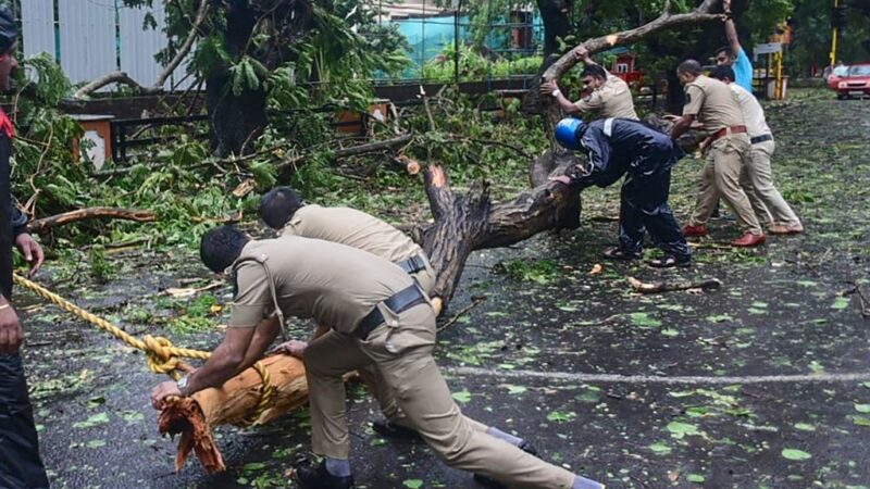 熱帶氣旋強襲印度 樹木連根拔起釀8死23失蹤