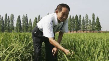 袁隆平一生未入黨團 中共強稱「同志」為自己貼金