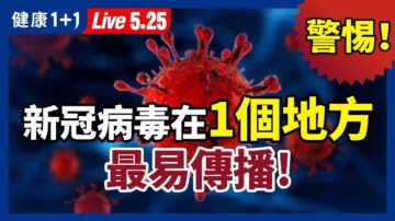 【重播】警惕！新冠病毒在1个地方 最容易传播