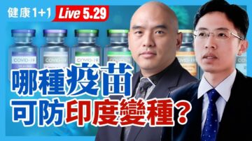 【重播】哪种疫苗可防印度变种？