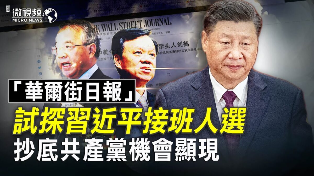 【微视频】胡春华接班习近平还是李克强？抄底共产党机会显现！