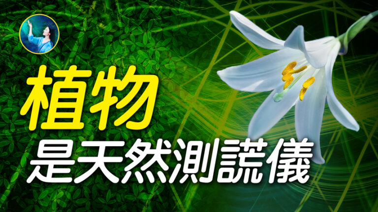 【未解之謎】科學聚焦：人的意念對植物有影響