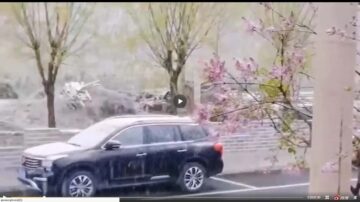 北京河北晚春飘雪 专家洗地称“很正常”(视频)