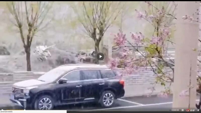 北京河北晚春飘雪 专家洗地称“很正常”(视频)