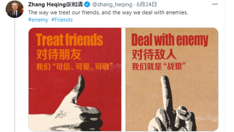 中共大使貼侮辱手勢自稱戰狼 台灣前官員發文嘲諷
