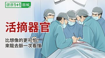 活摘器官你真了解？来龙去脉图解一次看懂