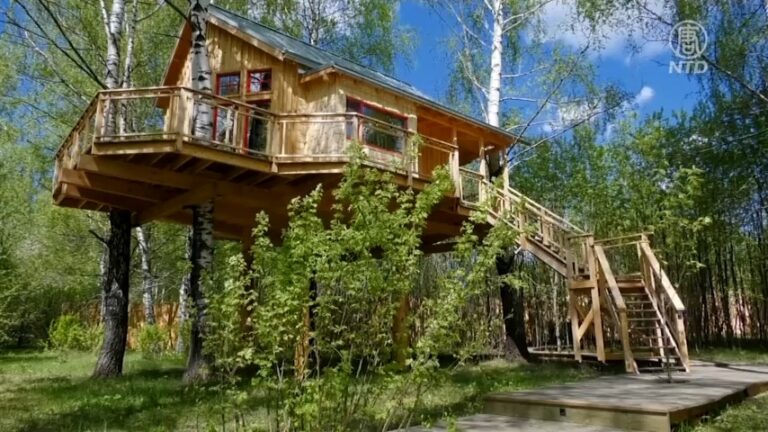 樺樹頂上的風景 俄夫婦打造樹頂酒店