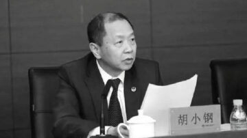 又一個賴小民 東方資產原副總裁胡小鋼被查