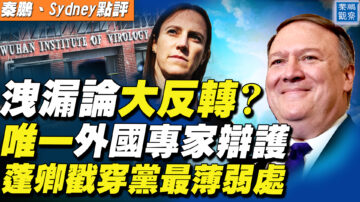 【秦鵬直播】洩漏論大反轉？ 唯一外國專家辯護