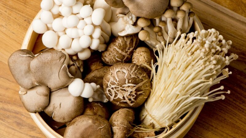 菇類可增強免疫力 每天吃還能降45%罹癌風險