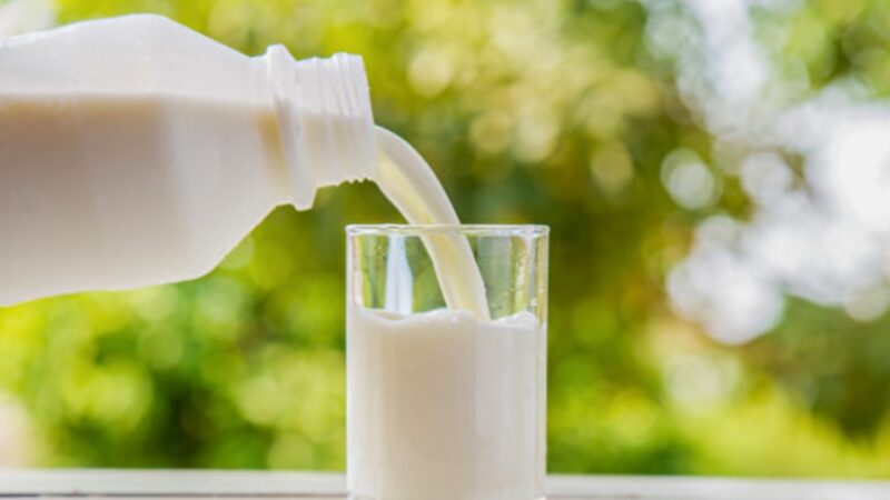 牛奶補鈣效果比豆漿強 低脂、全脂哪個最好？