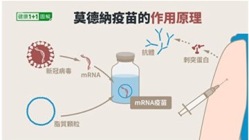 莫德納疫苗效力有多久？副作用和禁忌一次看