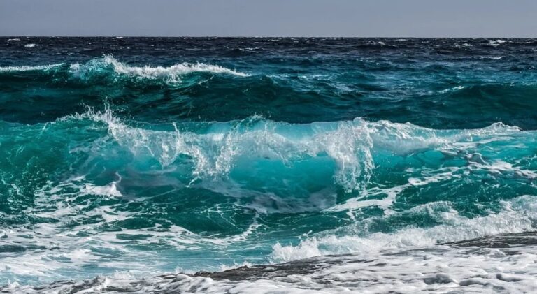 海水很鹹 喝了會發生什麼事？