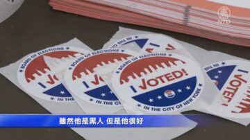 纽约市级政府党内初选 新投票系统费时长