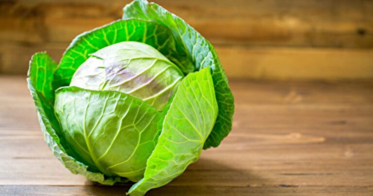 消除內臟脂肪食物前10名