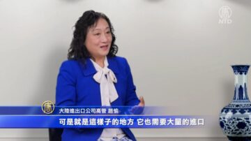 【社会主义真面目】大陆移民进出口公司部门经理（一）