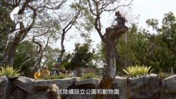 1000步的繽紛台灣：新竹公園