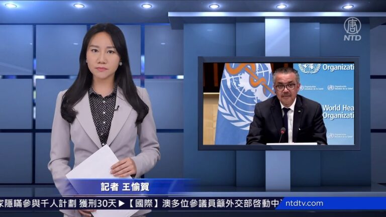 連線王愉賀：病毒溯源直指武毒所 調查真相現一絲曙光