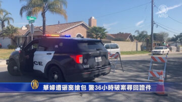 华妇遭砸窗抢包 警36小时破案寻回证件