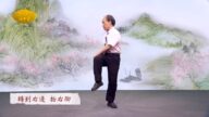 【廣告】談古論今話中醫：震絡養生操
