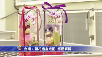 台灣：蘭花禮盒宅配 紓壓解悶