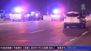 美鳳凰城重大多車相撞事故 4亡9傷