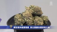 导致精神健康障碍 联合国吁各国禁推大麻