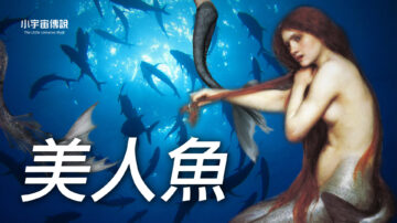 【小宇宙傳說】人魚傳說