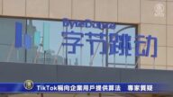 TikTok稱向企業用戶提供算法 專家質疑