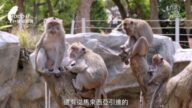 1000步的繽紛台灣：新竹公園