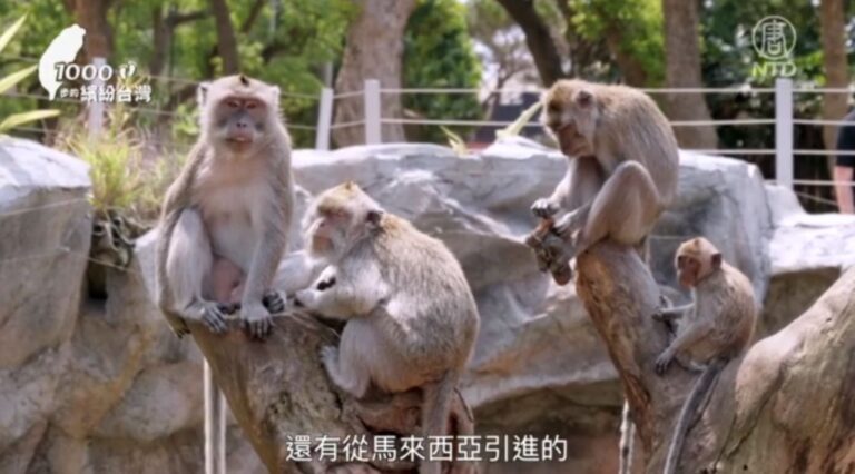 1000步的繽紛台灣：新竹公園