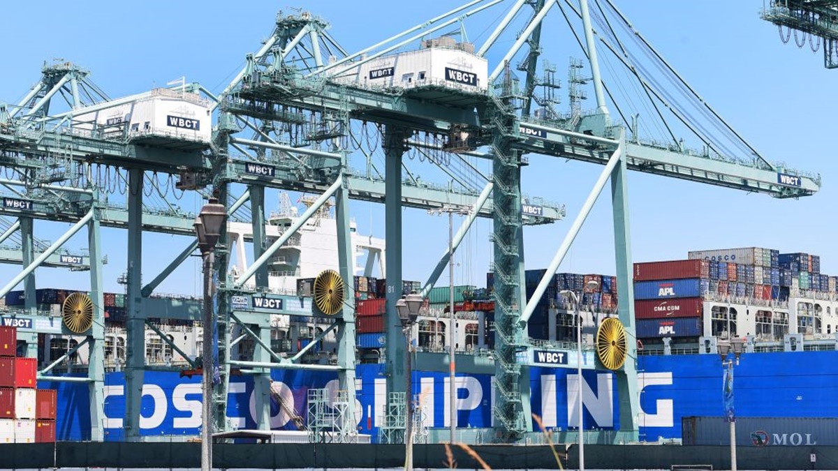 2019年8月23日,在加州長灘市(Long Beach)的長灘港,可以看到中遠(Cosco)海運船上的集裝箱。(Frederic J. Brown/AFP/Getty Images)