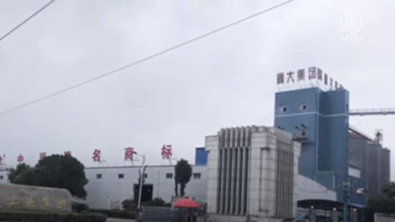 湖北襄大集團求政府接管無果 控當局「未審先定」