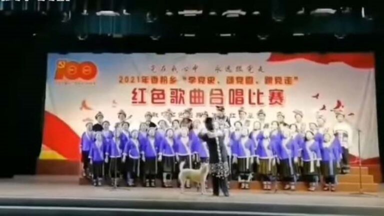 演員昏倒狗上台 中共黨慶演出狀況不斷（多視頻）