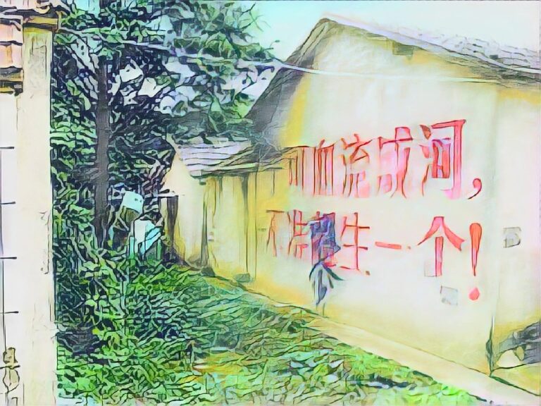 陳光誠： 「計生」殺人40年 扭曲常倫來償還