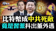 【拍案惊奇】中共要打倒比特币 习派放料董外逃？