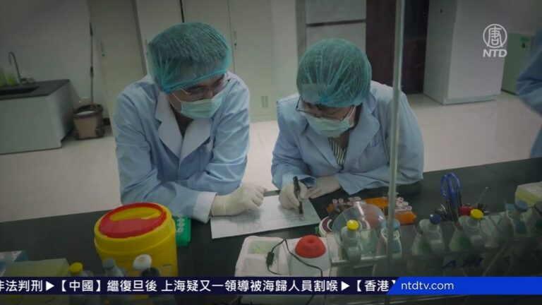 連線王愉賀：病毒起源重大疑點 石正麗團隊藏了什麼秘密？