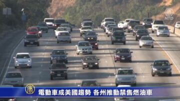 电动车成美国趋势 各州推动禁售燃油车