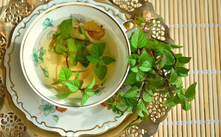 養生茶「喝對」才養生 養生茶應該怎麼喝？