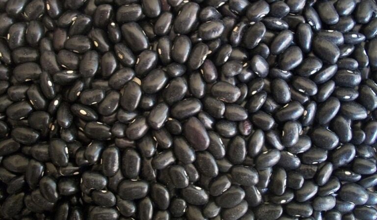 腎不好的人牢記「5不貪」 養腎做好6件事