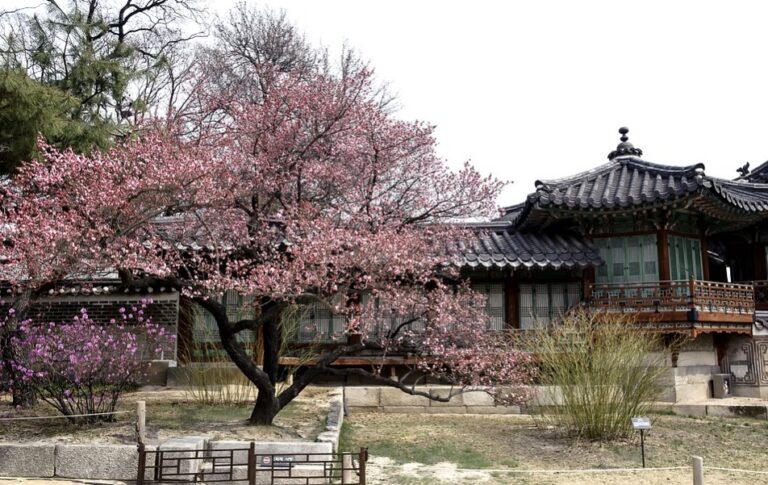 中國古代文化漫談——從《梅花詩》說起