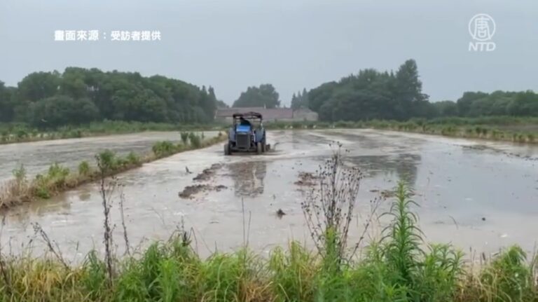 江蘇農民控訴當地政府壟斷農田資源