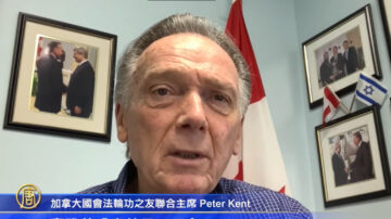 加國會議員Peter Kent 聲援反迫害