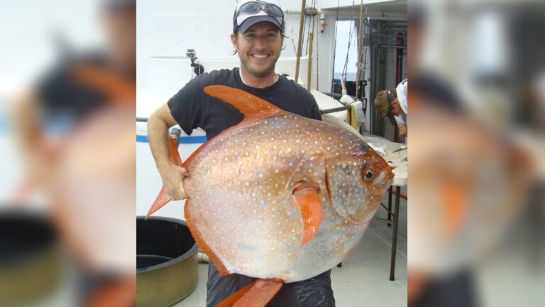 色澤艷麗重達100磅 罕見月魚擱淺美國海灘