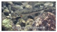 【廣告】美麗心台灣