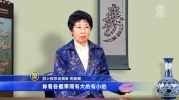 【社會主義真面目】大陸移民戲曲演員（一）