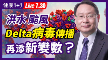 【重播】洪水、颱風 疫情再添新變數？