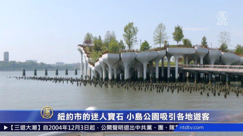 紐約市的迷人寶石 小島公園吸引各地遊客